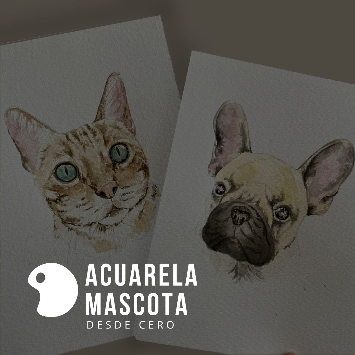 Retrato de Mascotas - Curso Online
